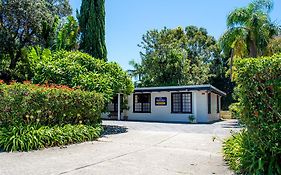 Nelson Palms